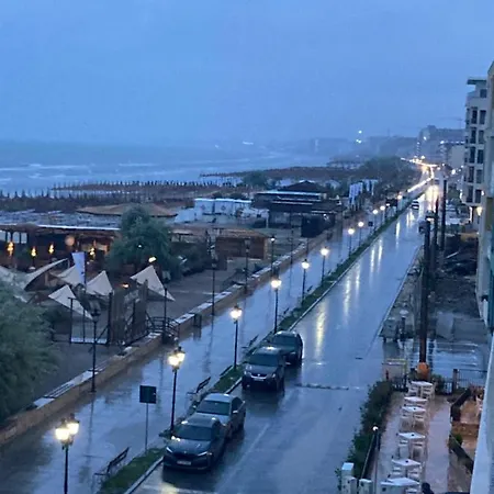 Sarah Morningstar ナボダリ