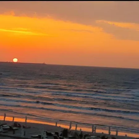 アパート Sarah Morningstar