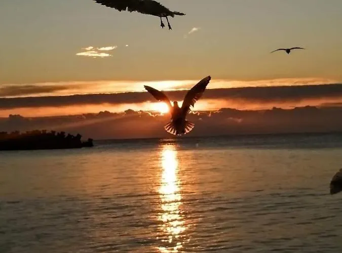 Sarah Morningstar Apartmán