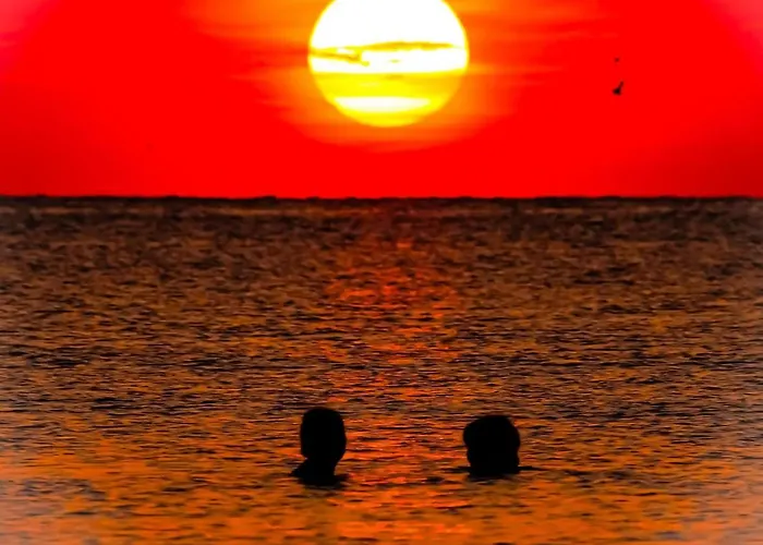 Sarah Morningstar Apartmán Năvodari