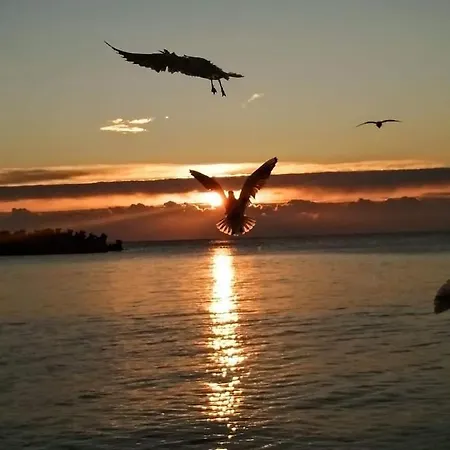 Sarah Morningstar Appartement