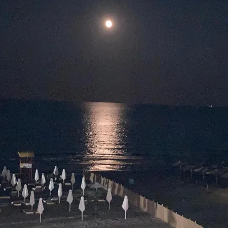 公寓 Sarah Morningstar