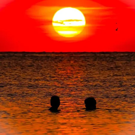 Sarah Morningstar Appartement Năvodari